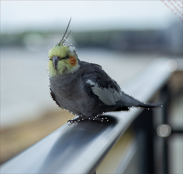 Images/06SF03N.png Images/06SF03N.png