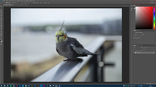 Images/19SF02N.png Images/19SF02N.png