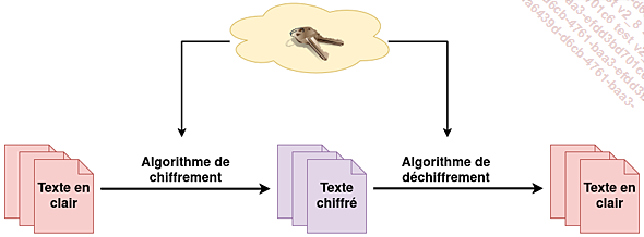 images/03DataPro02.png