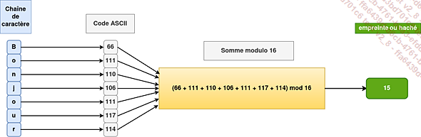 images/04DataPro02.png